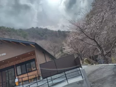 春うらら＊＊：＊のサムネイル